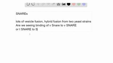 snares-exist-as-complementary-partners-that-carry-out-membrane-fusions-between-appropriate-vesicle-2