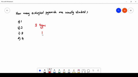 how-many-ecological-pyramids-are-usually-studied-a-1-b-2-c-3-d-4