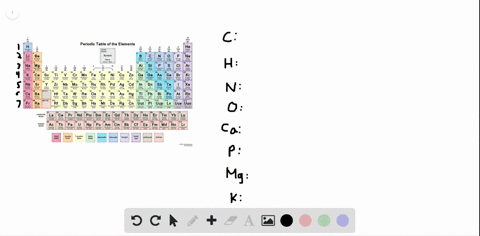 SOLVED:The four most abundant elements by mass in the human body are ...