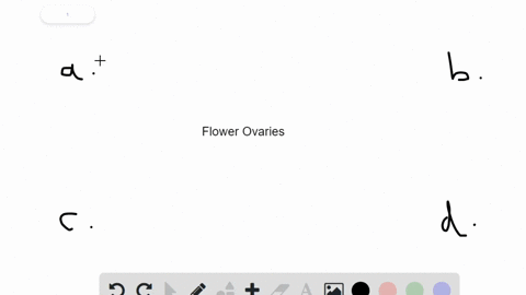 the-_______-of-a-flower-contains-one-or-more-ovaries-in-which-eggs-develop-fertilization-occurs-and-