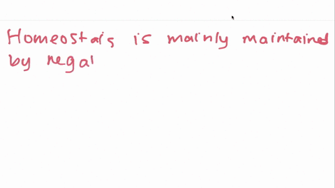 homeostasis-is-maintained-most-often-by-a-positive-feedback-systems-d-viruses-b-negative-feedback-sy