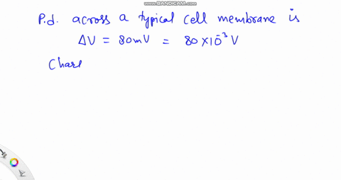the-potential-difference-across-a-typical-cell-membrane-is-about-b10-80-mathrmmv-how-much-work-is-do
