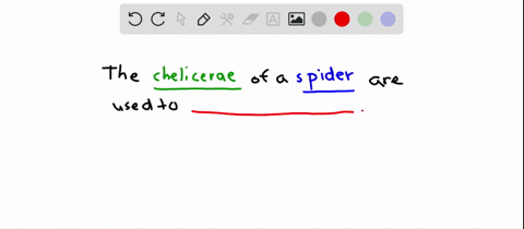 a-spiders-chelicerae-____________-a-detect-light-b-inject-venom-c-produce-silk-d-eliminate-excess-wa