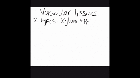 which-of-the-following-two-distribution-patterns-for-vascular-tissues-is-common-among-eudicots-which