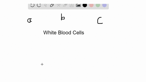 match-each-description-with-a-white-blood-cell-in-the-key-not-all-answers-will-be-used-key-a-lymph-3