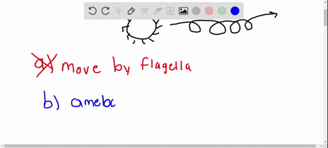 the-ciliates-a-move-by-means-of-flagella-b-use-amoeboid-movement-c-include-plasmodium-the-agent-of-m
