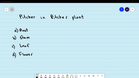 which-plant-part-is-modified-into-pitcher-in-pitcher-beginarraylltext-plans-text-b-stem-endarray-a-r