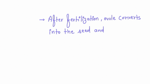 as-a-result-of-fertilization-in-flowering-plants-_________-a-pollen-is-picked-up-at-the-stigma-by-an