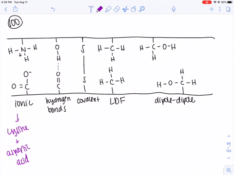 give-examples-of-amino-acids-that-could-give-rise-to-the-interactions-pictured-in-fig-2125-that-main