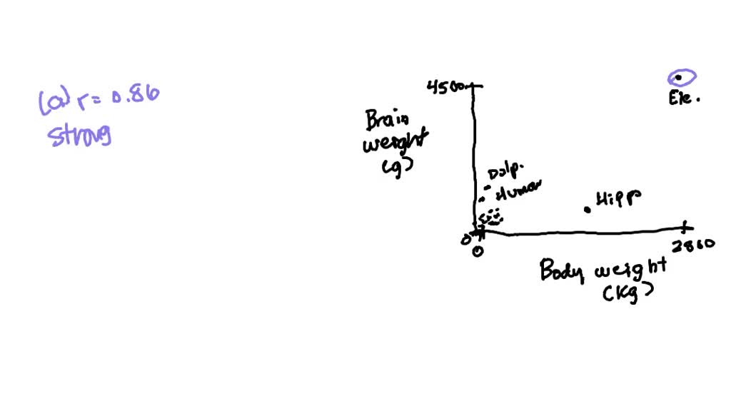 solved-the-figure-below-plots-the-average-brain-weight-in-grams-versus