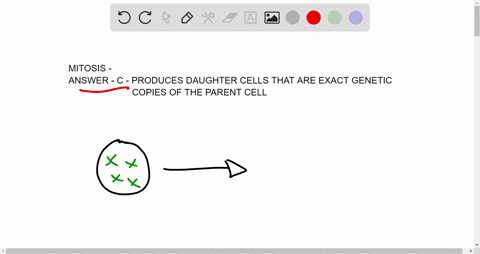 mitosis-_______-a-occurs-in-cells-that-give-rise-to-gametes-b-produces-haploid-cells-from-diploid-ce