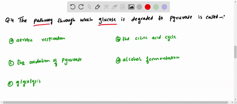 the-pathway-through-which-glucose-is-degraded-to-pyruvate-is-called-a-aerobic-respiration-b-the-citr