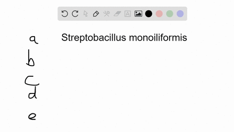 the-following-statements-about-streptobacillus-moniliformis-are-all-true-except-a-it-can-be-transmit