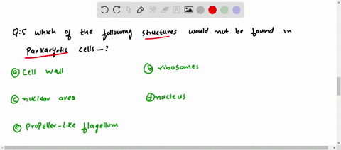 which of the following structures is not found in all prokaryotic cells