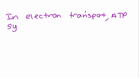 where-does-the-synthesis-of-atp-take-place-in-electron-transport-232