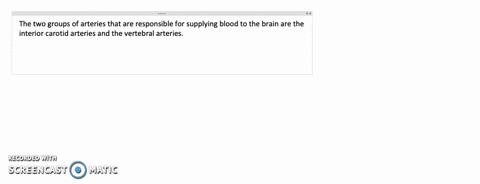 what-arteries-play-the-leading-roles-in-supplying-blood-to-the-brain