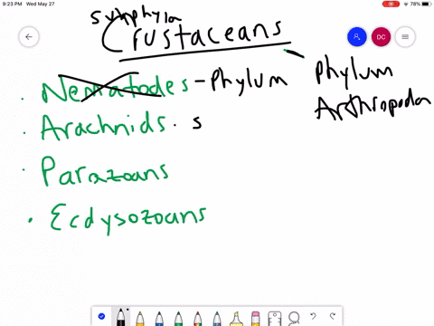 crustaceans-are-_____-a-ecdysozoans-b-nematodes-c-arachnids-d-parazoans