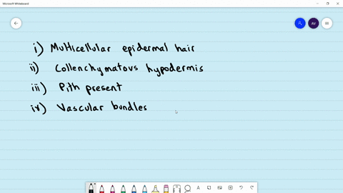 read-the-following-statements-1-multicellutar-epidermal-hair-ii-collenchymatous-hypodermis-ii-pith-p