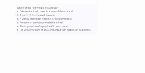 which-of-the-following-is-not-a-fossil-a-dried-out-animal-bones-in-a-layer-of-desert-sand-b-a-patch-