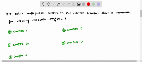 which-multiprotein-complex-in-the-electron-transport-chain-is-responsible-for-reducing-molecular-oxy