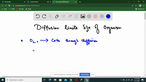 how-does-diffusion-limit-the-size-of-organisms
