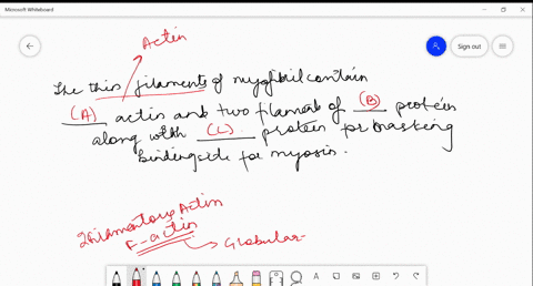 3-fill-up-the-blanks-in-the-following-sentence-by-selecting-the-correct-option-the-thin-filaments-of