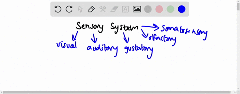 a-sensory-system-is-composed-of-______-a-nerve-pathways-from-specific-receptors-to-the-brain-b-senso