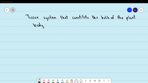 which-of-the-following-tissue-systems-constitute-but-the-plant-body-a-epidemel-tissue-sstem-b-glound