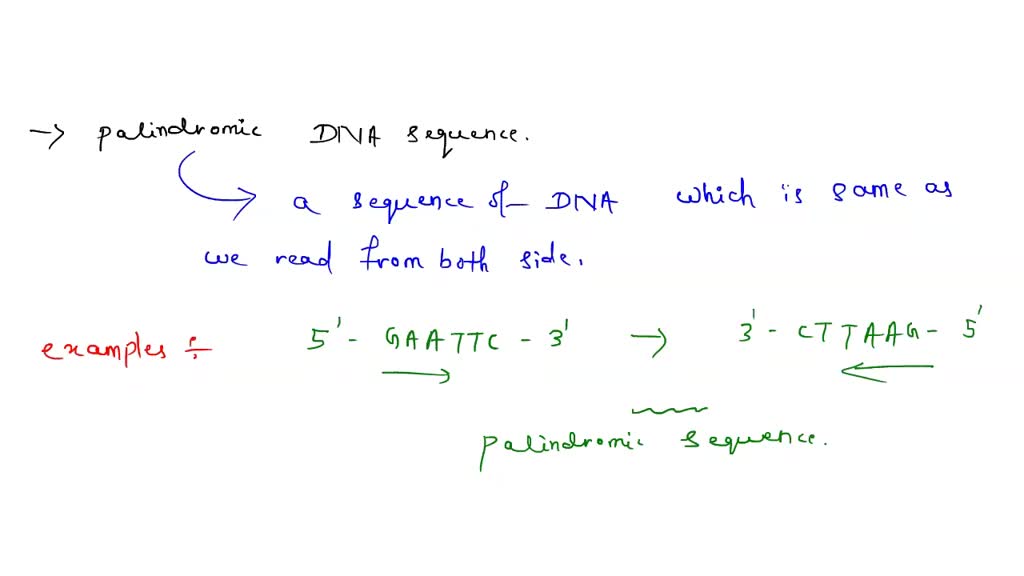 A palindrome is a sequence of nucleotides in DNA that: A. is highly ...