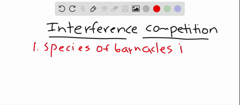 interference-competition-has-been-demonstrated-to-occur-between-a-species-of-barnacles-in-the-rocky-
