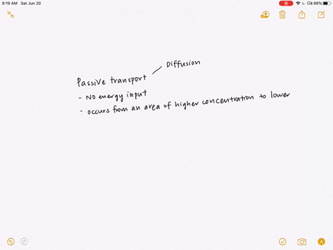 Solved Ion Pumps And Phagocytosis Are Both Examples Of A Endocytosis B Passive Transport C Active Transport D Facilitated Diffusion