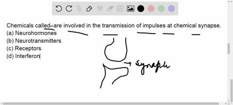chemicals-called-quad-are-involved-in-the-transmission-of-impulses-at-chemical-synapse-a-neurohormon