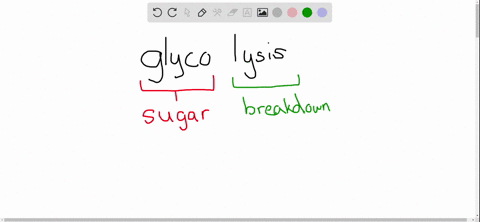 which-of-the-following-pathways-occurs-in-the-cytosol-a-glycolysis-b-breakdown-of-pyruvate-to-an-ace