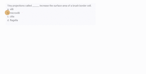 tiny-projections-called-______-increase-the-surface-area-of-a-brush-border-cell-a-villi-b-microvilli