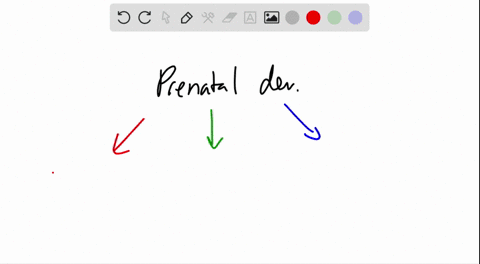 _____________-is-the-first-stage-of-prenatal-development-which-begins-with-conception-and-ends-with-