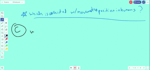 which-of-the-following-situations-is-associated-with-movement-and-position-in-the-human-body-a-stato