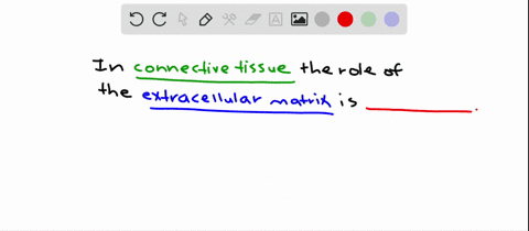 the-extracellular-matrix-ecm-of-connective-tissue-a-contains-different-proteins-that-provide-structu