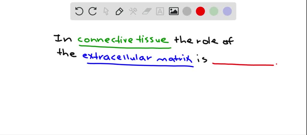 ⏩SOLVED:The extracellular matrix (ECM) of connective tissue a.… | Numerade