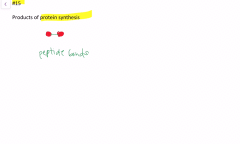 what-are-the-products-of-protein-synthesis