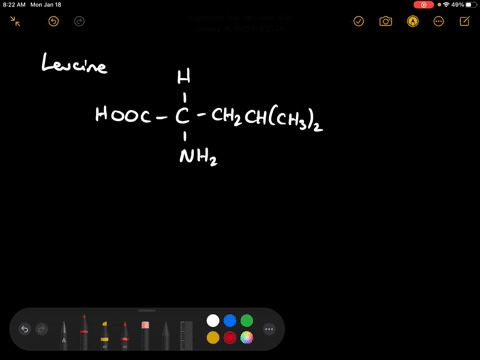 draw-the-two-enantiomers-for-the-amino-acid-leucine-hoocchnh_2ch_2chch_3_2-and-label-each-enantiomer
