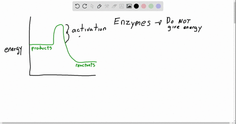 enzymes-speed-up-reactions-by-a-providing-chemical-energy-to-fuel-a-reaction-b-lowering-the-activa-2