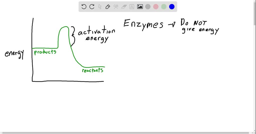 SOLVEDEnzymes speed up reactions by a. providing chemical energy to
