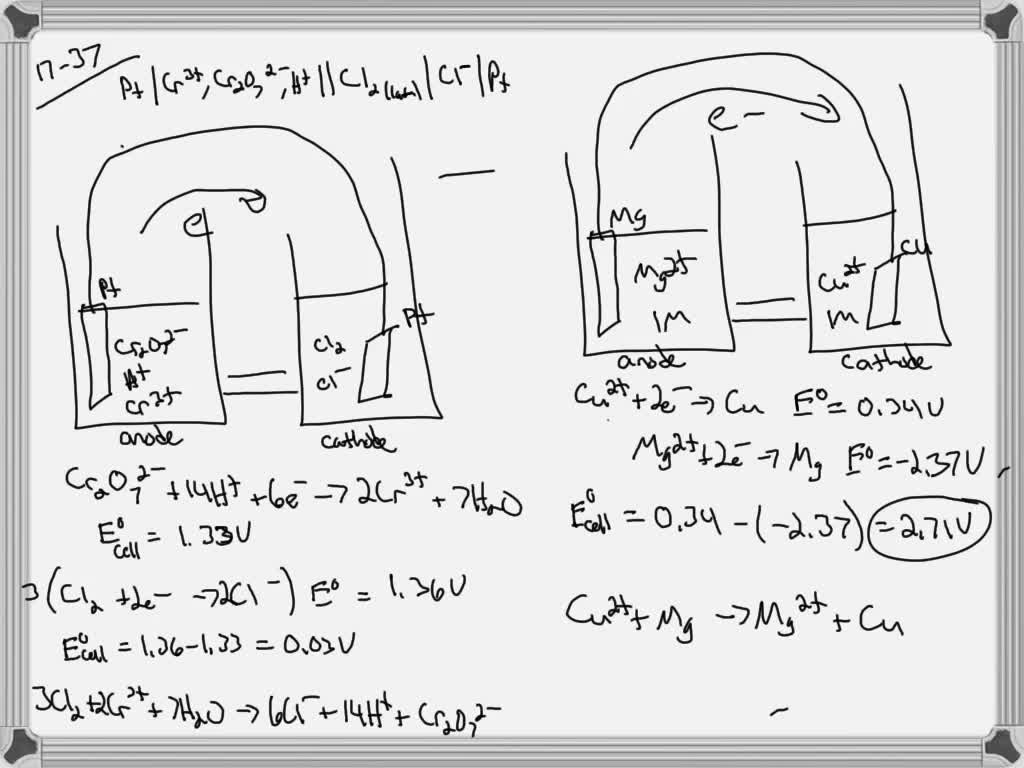 solved-give-the-standard-line-notation-for-each-cell-in-exercises-37-and-41