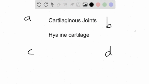 which-of-the-following-is-an-example-of-a-cartilaginous-joint-a-knee-joint-c-pubic-symphysis-b-skull