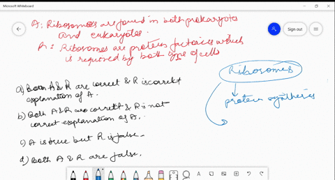 assertion-ribosomes-are-found-in-both-prokaryote-and-eukaryotes-reason-ribosomes-are-protein-factori