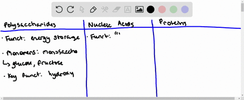 polysaccharides-proteins-and-nucleic-acids-comprise-the-three-main-classes-of-biopolymers-compare-an