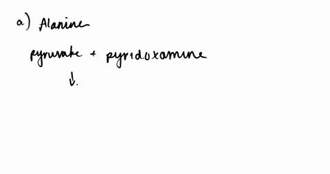 alpha-keto-acids-other-than-alpha-ketoglutarate-can-accept-the-amino-group-from-pyridoxamine-in-en-2