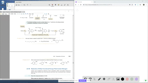 what-alkyl-halide-is-needed-to-prepare-each-1circ-amine-by-a-gabriej-synthesis