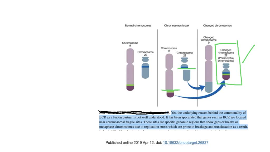 Solvedthe Philadelphia Chromosome A Is Sufficiently Specific For The