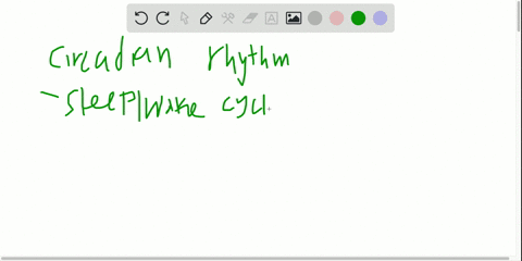 briefly-describe-circadian-rhythms
